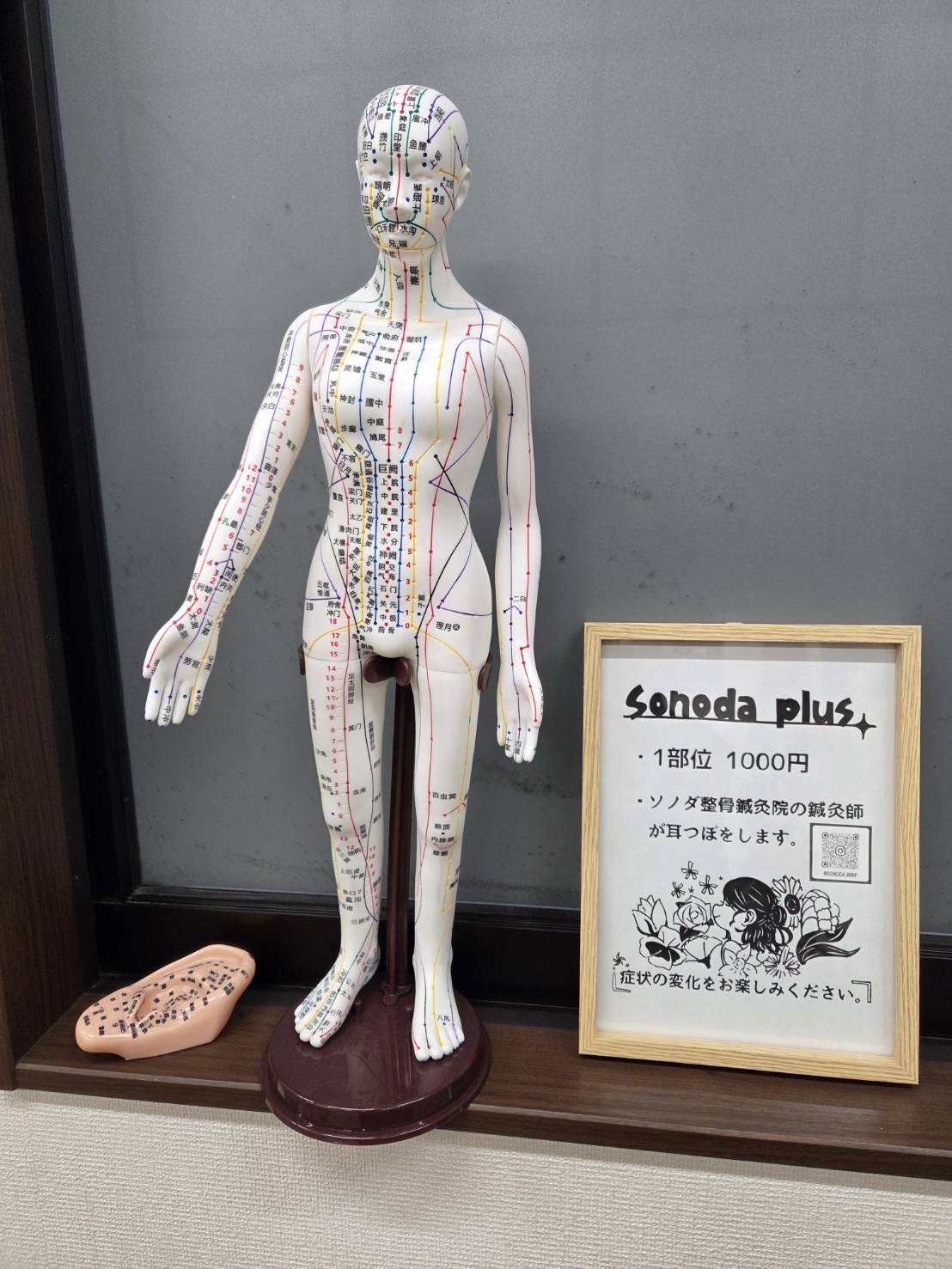 経絡人形